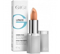 GIGI Lipacid Anti Bacterial Concealer Cover LipStick