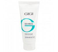 GIGI Sea Weed Soapless Soap Normal to Oily Skin 100ml