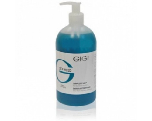 GIGI Sea Weed Soapless Soap Normal to Oily Skin 500ml