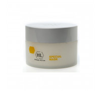HOLY LAND Special Mask 250ml
